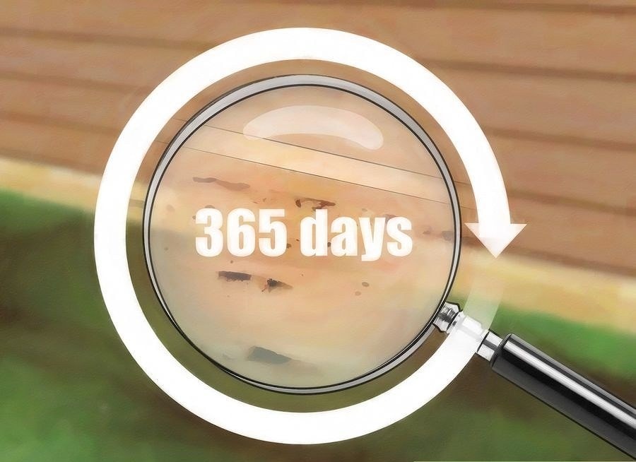 Get termite inspections done annually by a professional