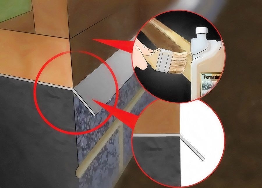 Have your wooden house pre-treated for termites