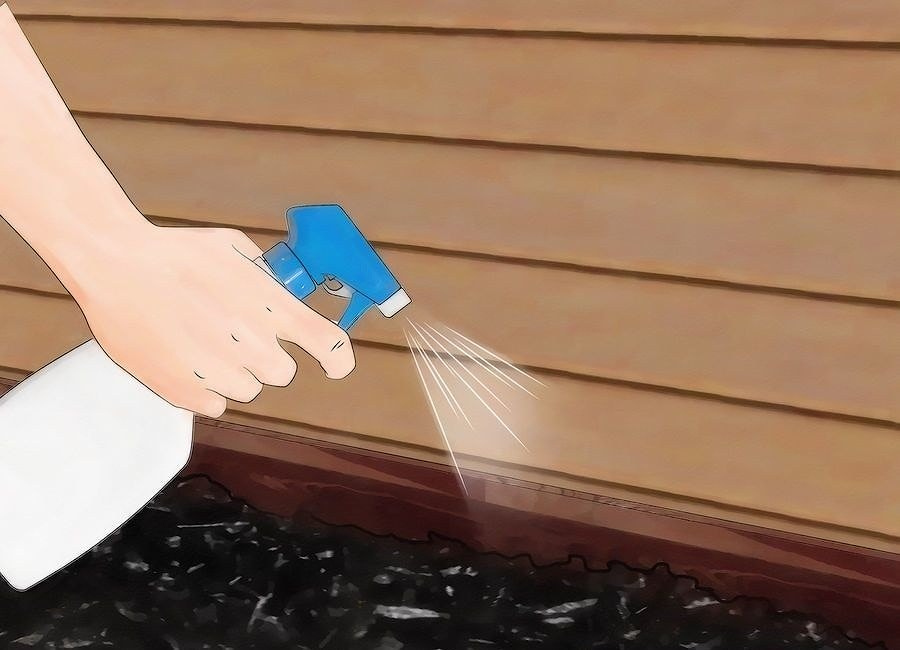 Remove termite access by filling cracks in your wooden house