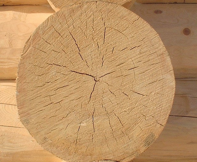 Spruce wood main physical properties