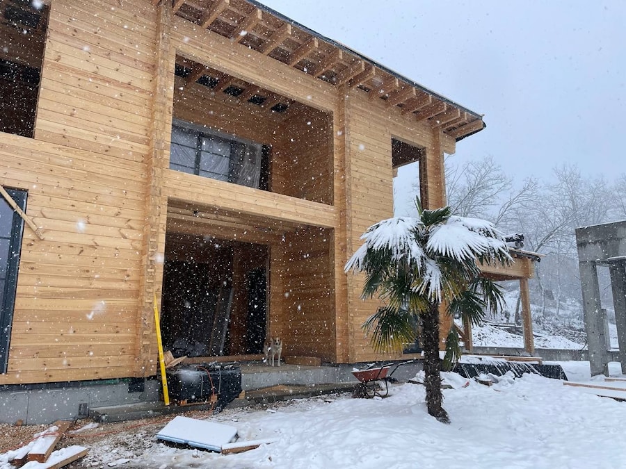 House Kakheti. Palm trees in the snow   